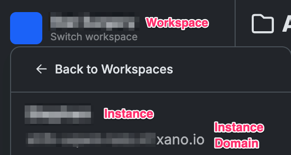 Xano instance information Screenshot of Xano instance information