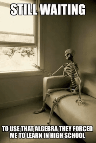 Image of skeleton seated on a sofa, looking out the window with the caption: 'Still waiting to use that algebra they forced me to learn in high school'