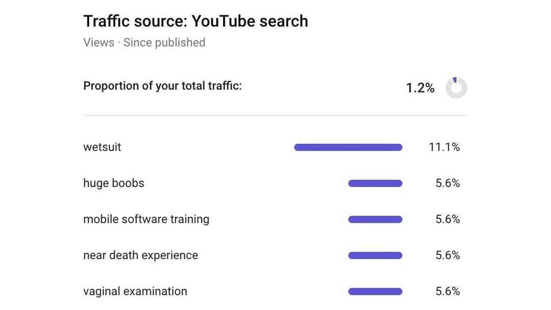 Screenshot: YouTube search keywords attributed to 1.2% of total traffic