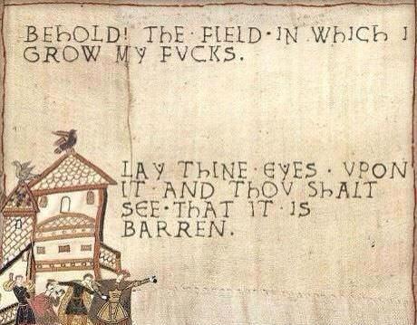 faux Bayeux tapestry that reads "Behold! The field in which I grow my fucks. Lay thine eyes upon it and thou shalt see that it is barren."
